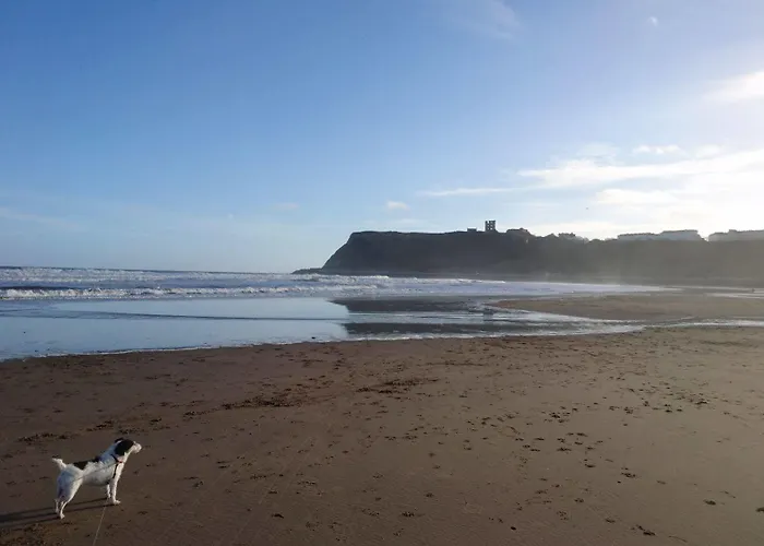 The Beaches Bed & Breakfast Scarborough